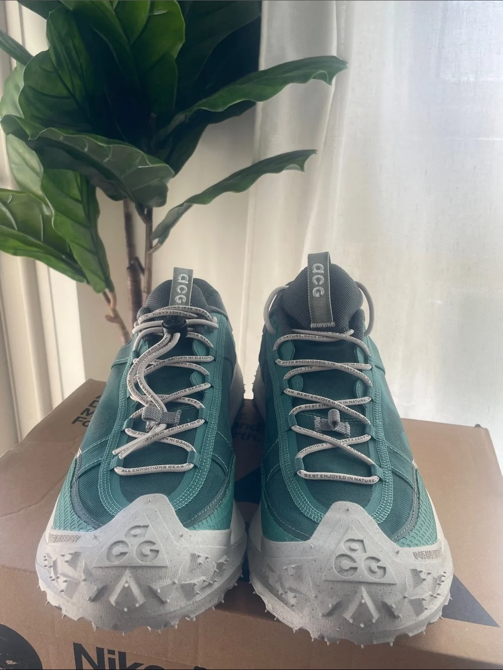 Nike ACG Mountain Fly 2 Low